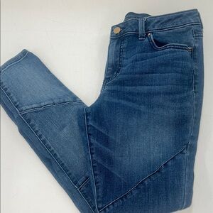 Jennifer Lopez size 10 skinny blue stretch Women's Jeans